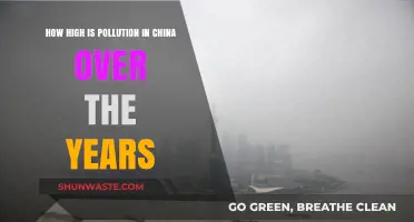 China's Pollution Crisis: A Historical Perspective