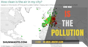 Air Pollution: How High Is Too High?