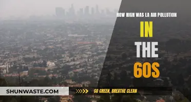 Los Angeles' Air Pollution Crisis in the 1960s