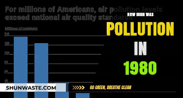 Pollution Levels in 1980: A Historical Perspective