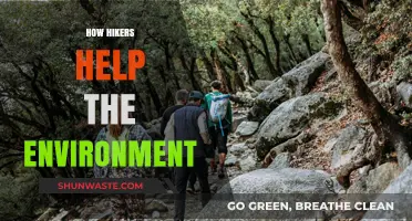 Hiking for a Greener Planet: How Trekkers Protect Nature