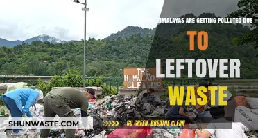 Himalayas: Polluted by Leftover Waste