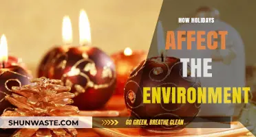 Eco-Impact of Holidays: Unveiling Travel's Environmental Footprint