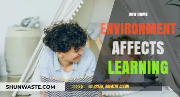 Home Environment's Impact: Shaping Learning Outcomes and Academic Success
