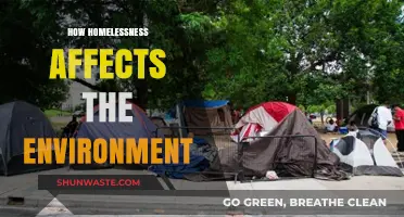 Homelessness and Its Environmental Impact: A Hidden Ecological Crisis