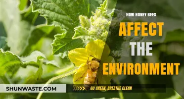 Honey Bees' Vital Role in Shaping Our Environment and Ecosystems