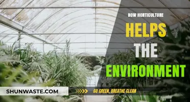 Horticulture's Green Impact: Cultivating a Healthier, Sustainable Environment