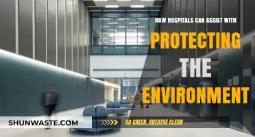 Sustainable Healthcare: How Hospitals Can Lead Environmental Protection Efforts