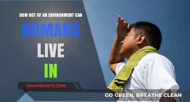 Surviving Extreme Heat: Human Limits in Scorching Environments Explained