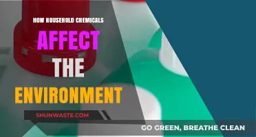 Household Chemicals: Unseen Environmental Impact and Sustainable Alternatives