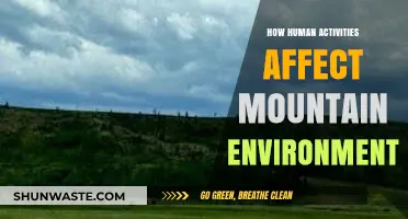 Human Impact on Mountains: Threats, Challenges, and Conservation Efforts