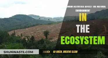 Human Impact: How Our Actions Disrupt Natural Ecosystems