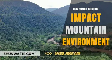Human Actions Reshape Fragile Mountain Ecosystems: Causes and Consequences