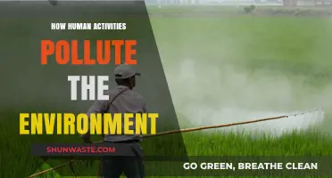 Human Activities: Environmental Polluters