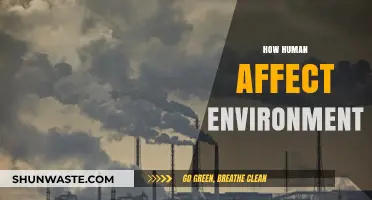 Human Impact on Nature: Understanding Our Environmental Footprint