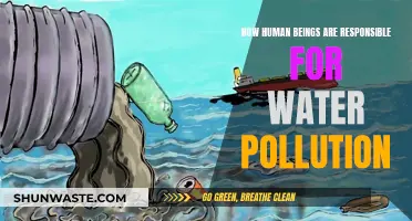 Human Impact: Unveiling the Sources of Water Pollution