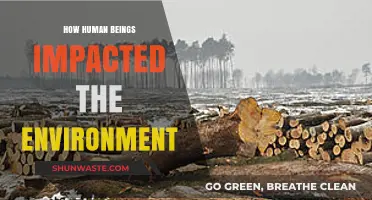 Human Impact on Nature: Environmental Consequences of Our Actions
