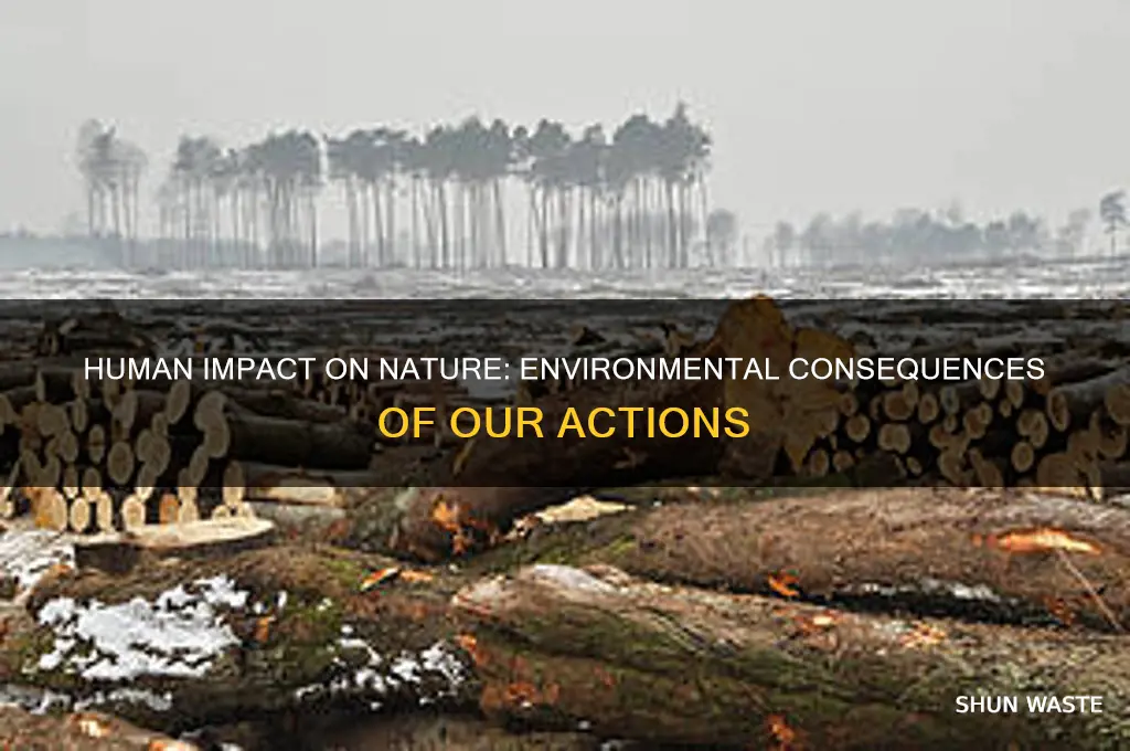 how human beings impacted the environment