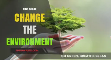 Human Impact: Transforming Ecosystems and Shaping Our Planet's Future