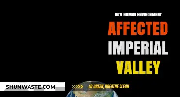 Imperial Valley's Transformation: Human Impact on a Fragile Ecosystem