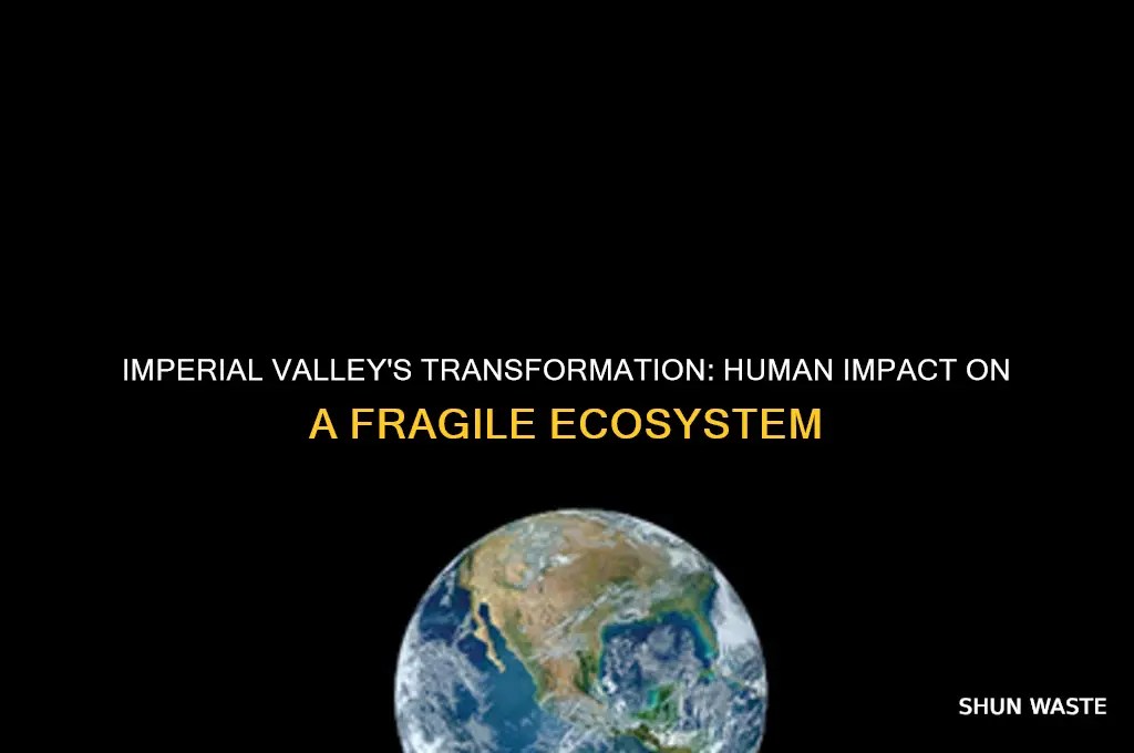 how human environment affected imperial valley