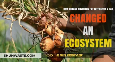 Human Impact: Transforming Ecosystems Through Environment Interaction