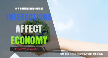 Human-Environment Dynamics: Shaping Economic Outcomes and Sustainability