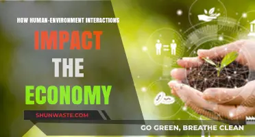 Human-Environment Dynamics: Shaping Economic Growth and Sustainability