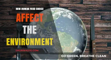 Sustainable Plates: How Our Food Choices Shape the Planet's Future