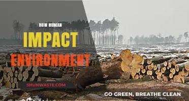 Human Actions, Environmental Consequences: Understanding Our Impact on Nature