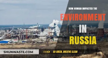 Russia's Environmental Crisis: Human Impact and Ecological Consequences