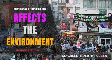 Overcrowded Planet: How Human Overpopulation Threatens Our Environment