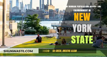 New York's Growing Population: Environmental Impacts and Sustainability Challenges