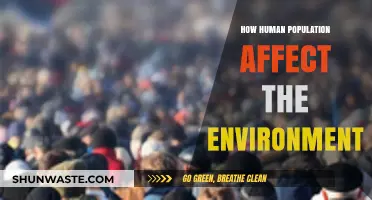 Human Population Growth: Environmental Impacts and Sustainable Solutions Explored