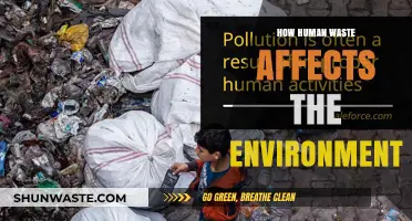 Human Waste's Environmental Impact: Pollution, Health Risks, and Solutions