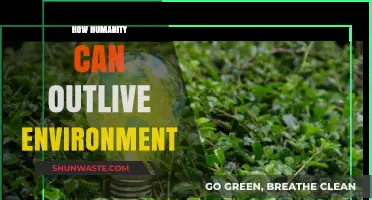 Sustaining Our Future: Strategies for Humanity to Outlive Environmental Challenges