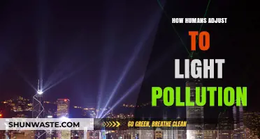 Adapting to Artificial Night: Human Resilience to Light Pollution