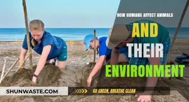 Human Impact: How Our Actions Shape Animals and Their Ecosystems
