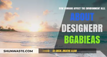 Designer Choices: How Humans Impact the Environment Through Design