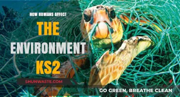 How Humans Impact Our Planet: A KS2 Environmental Guide