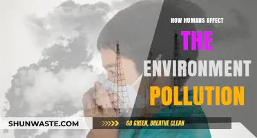 Human Impact: Unveiling Our Role in Environmental Pollution Crisis