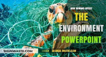 Human Impact on Environment: A PowerPoint Guide to Our Ecological Footprint