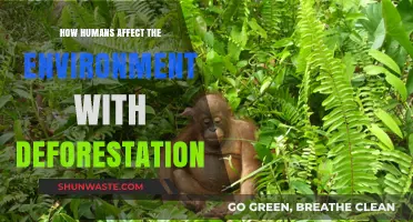Deforestation's Impact: How Human Actions Threaten Our Planet's Health