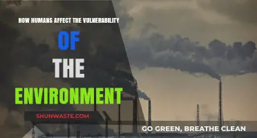 Human Actions Amplify Environmental Vulnerability: Causes and Consequences
