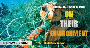 Human Actions, Environmental Consequences: Shaping Our Planet's Future