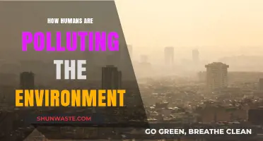 Human Impact: Polluting Our World