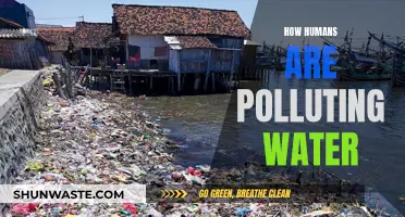 Human Impact: The Dark Side of Water Pollution