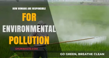 Human Impact: Environmental Pollution and Our Responsibility