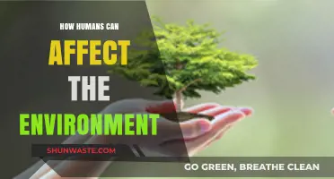 Human Impact: Unveiling Our Role in Shaping the Environment