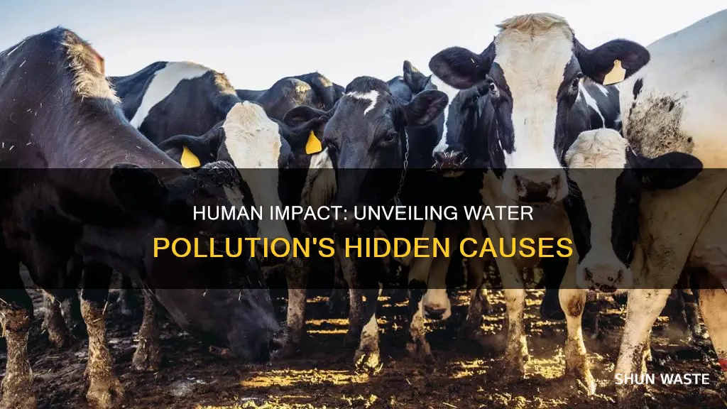 how humans can cause water pollution